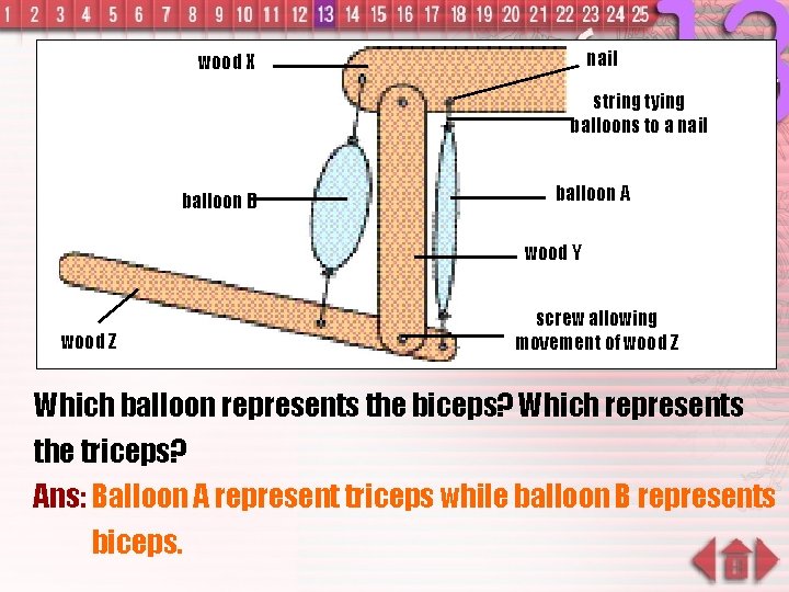 nail wood X string tying balloons to a nail balloon B balloon A wood
