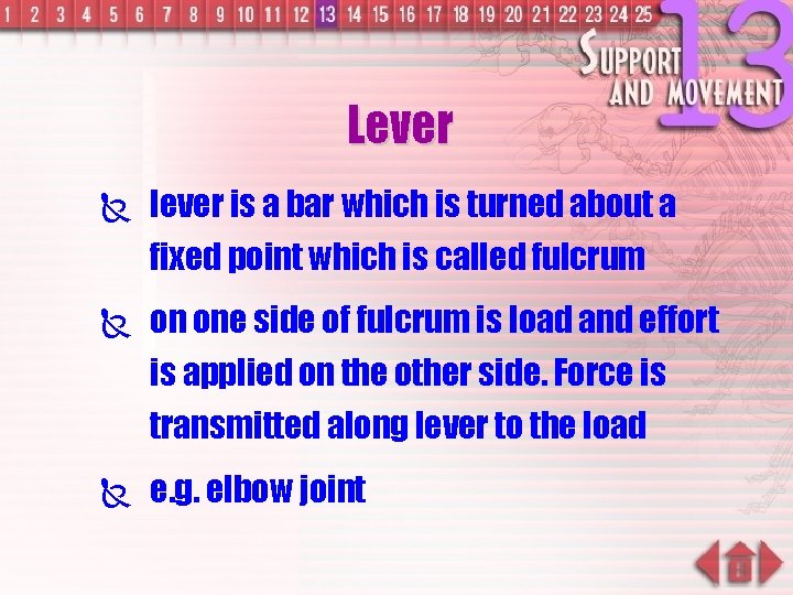 Lever Ñ lever is a bar which is turned about a fixed point which