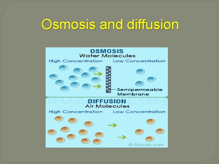 Osmosis and diffusion 
