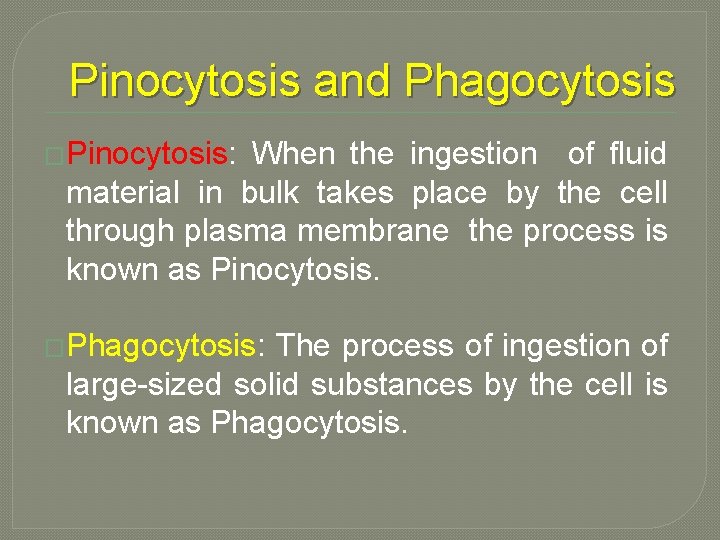 Pinocytosis and Phagocytosis �Pinocytosis: When the ingestion of fluid material in bulk takes place