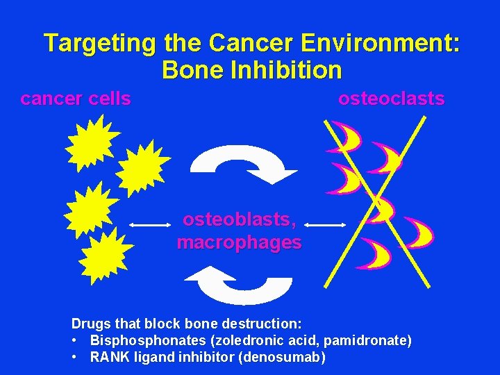 Biology and Treatment of Breast Cancer Julie R