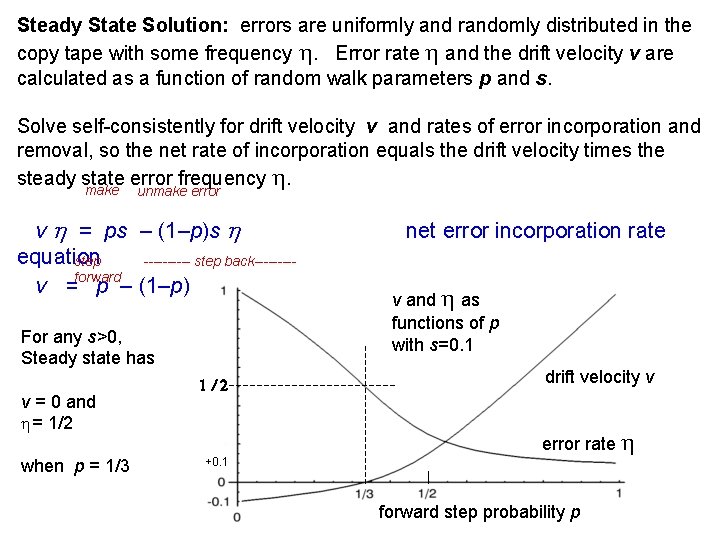 Steady State Solution: errors are uniformly and randomly distributed in the copy tape with