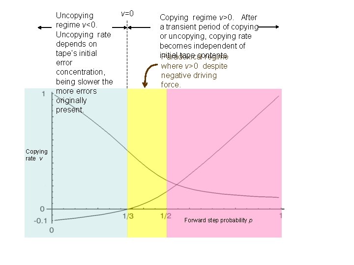 v=0 Uncopying regime v<0. Uncopying rate depends on tape’s initial error concentration, being slower