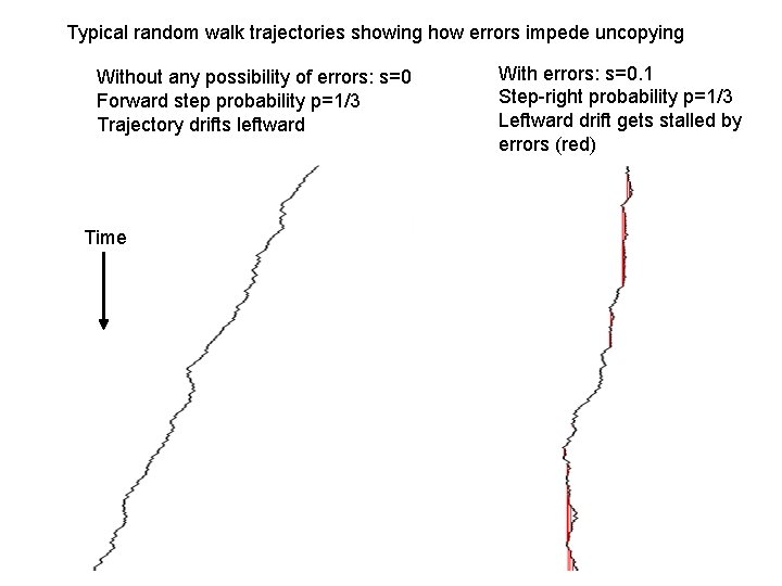 Typical random walk trajectories showing how errors impede uncopying Without any possibility of errors: