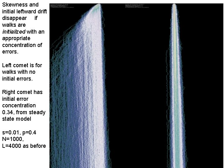 Skewness and initial leftward drift disappear if walks are initialized with an appropriate concentration