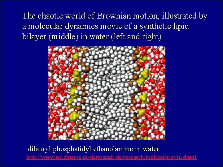 The chaotic world of Brownian motion, illustrated by a molecular dynamics movie of a