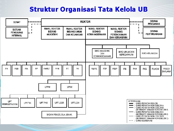 Struktur Organisasi Tata Kelola UB 
