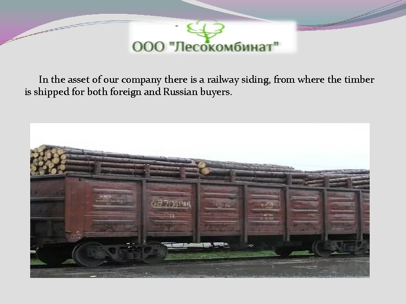 In the asset of our company there is a railway siding, from where the