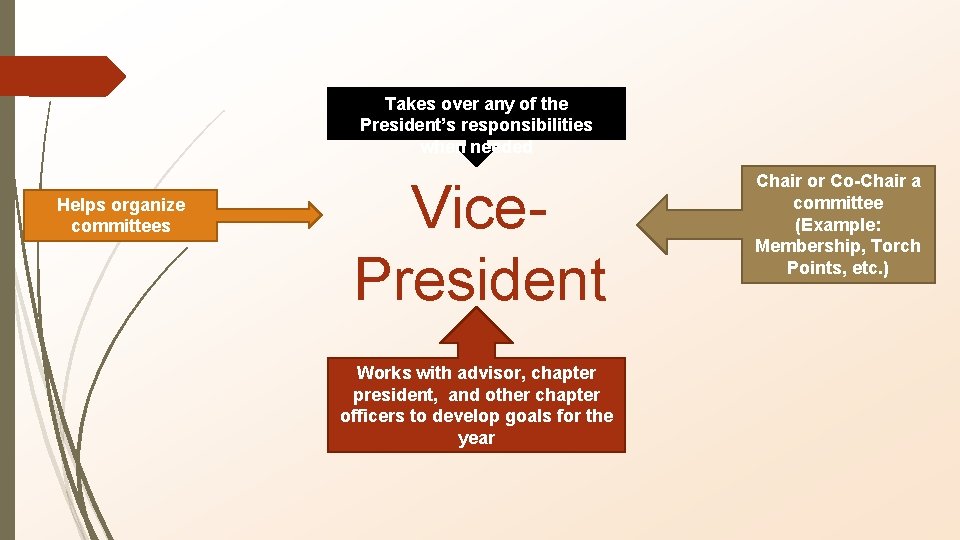 Takes over any of the President’s responsibilities when needed Helps organize committees Vice. President