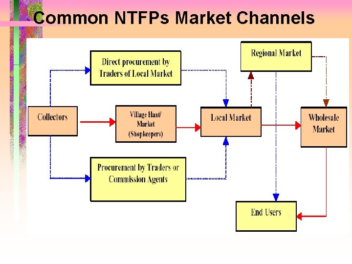 Common NTFPs Market Channels 