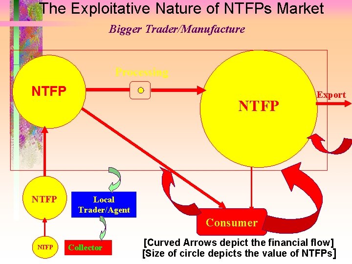 The Exploitative Nature of NTFPs Market Bigger Trader/Manufacture Processing NTFP Export Local Trader/Agent Consumer