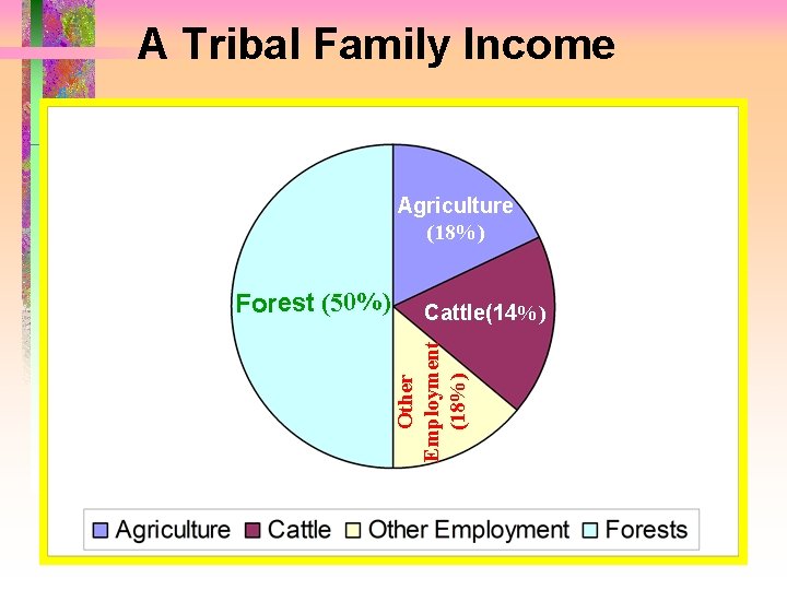 A Tribal Family Income Agriculture (18%) Cattle(14%) Other Employment (18%) Forest (50%) 