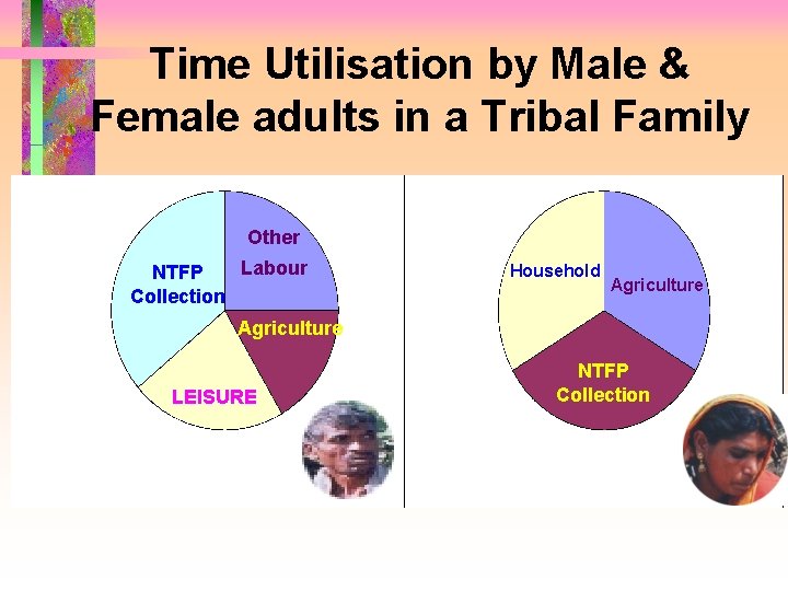 Time Utilisation by Male & Female adults in a Tribal Family Other Labour NTFP