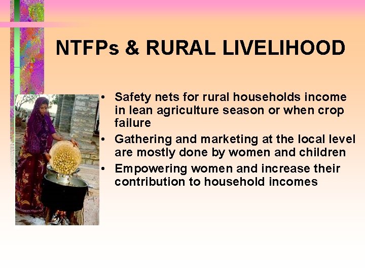 NTFPs & RURAL LIVELIHOOD • Safety nets for rural households income in lean agriculture