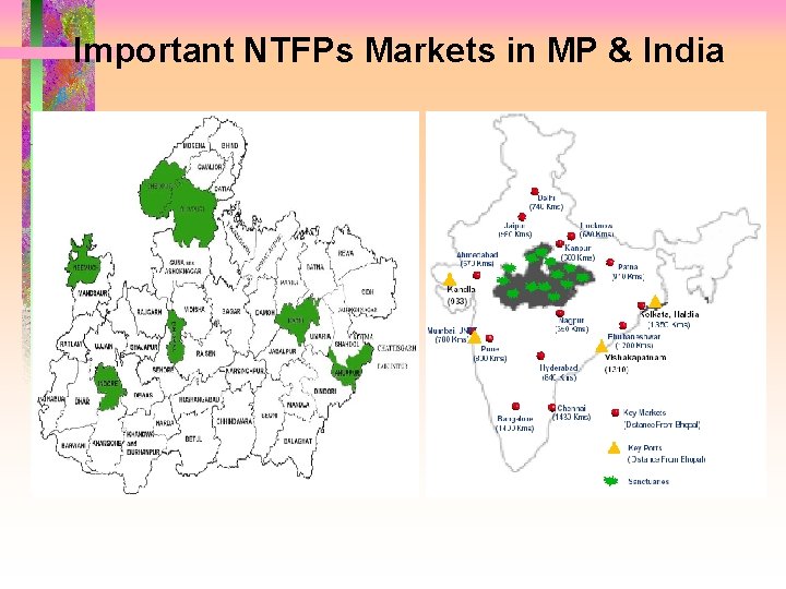 Important NTFPs Markets in MP & India 