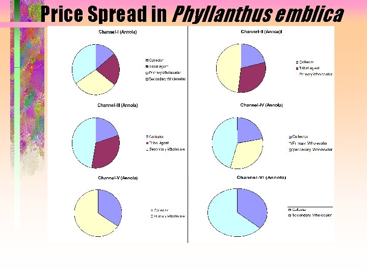 Price Spread in Phyllanthus emblica 