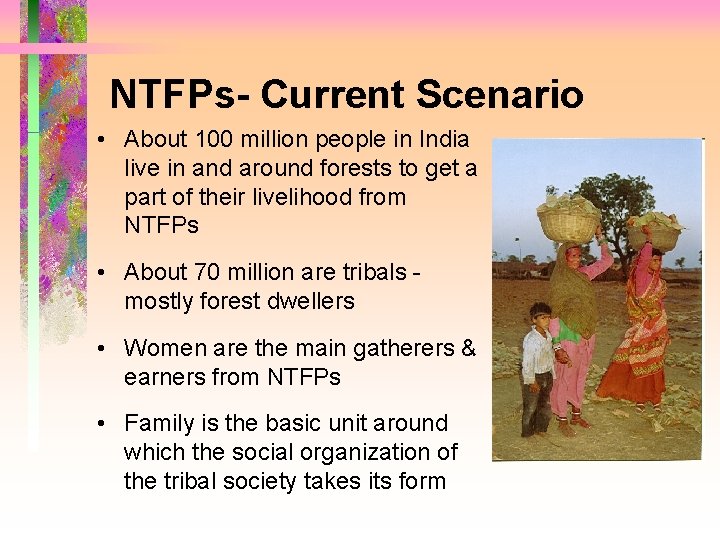 NTFPs- Current Scenario • About 100 million people in India live in and around