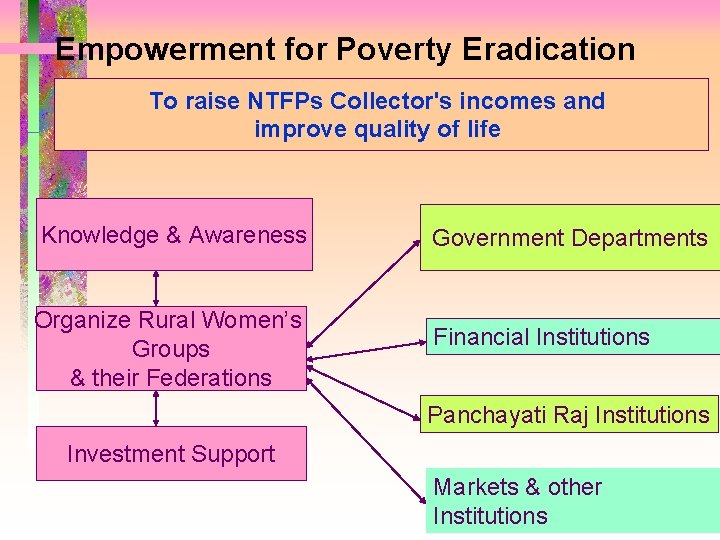 Empowerment for Poverty Eradication To raise NTFPs Collector's incomes and improve quality of life