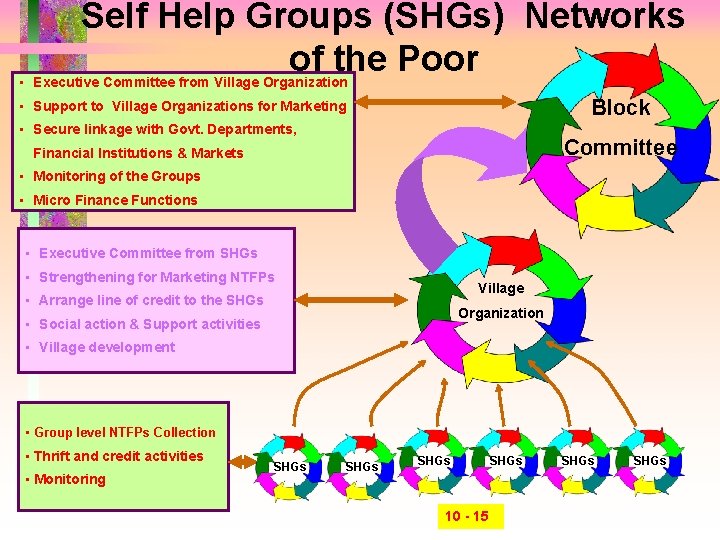 Self Help Groups (SHGs) Networks of the Poor • Executive Committee from Village Organization