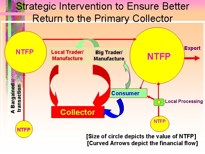 Strategic Intervention to Ensure Better Return to the Primary Collector A Bargained transaction NTFP