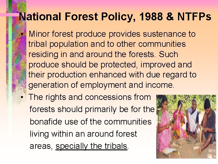 National Forest Policy, 1988 & NTFPs • Minor forest produce provides sustenance to tribal