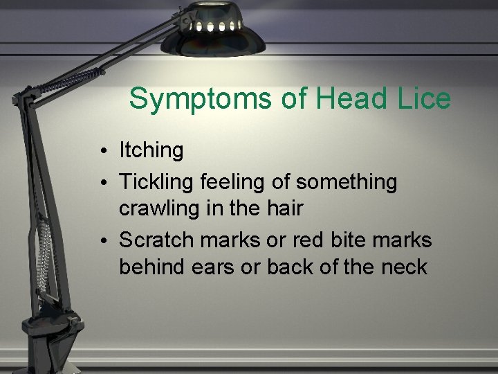 Symptoms of Head Lice • Itching • Tickling feeling of something crawling in the