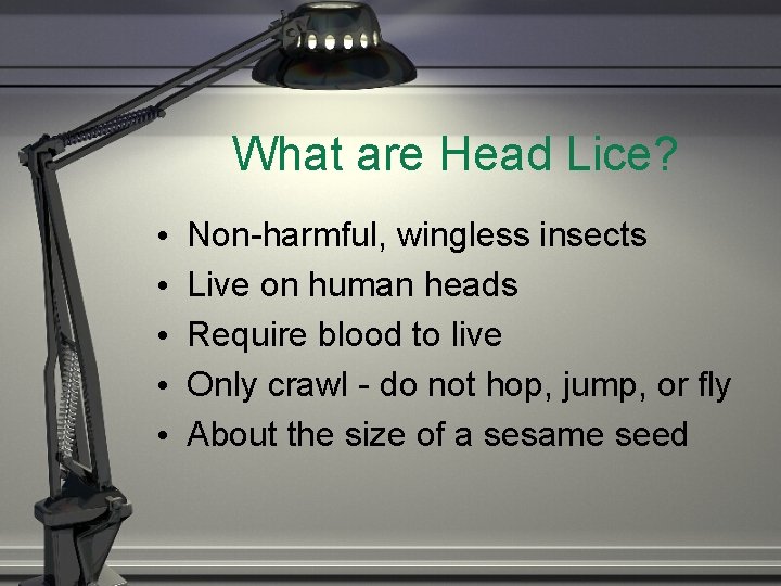 What are Head Lice? • • • Non-harmful, wingless insects Live on human heads