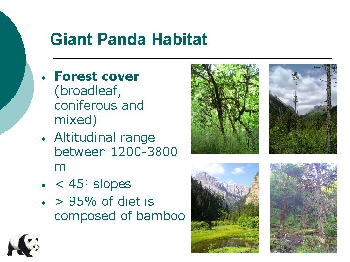 Giant Panda Habitat • • Forest cover (broadleaf, coniferous and mixed) Altitudinal range between