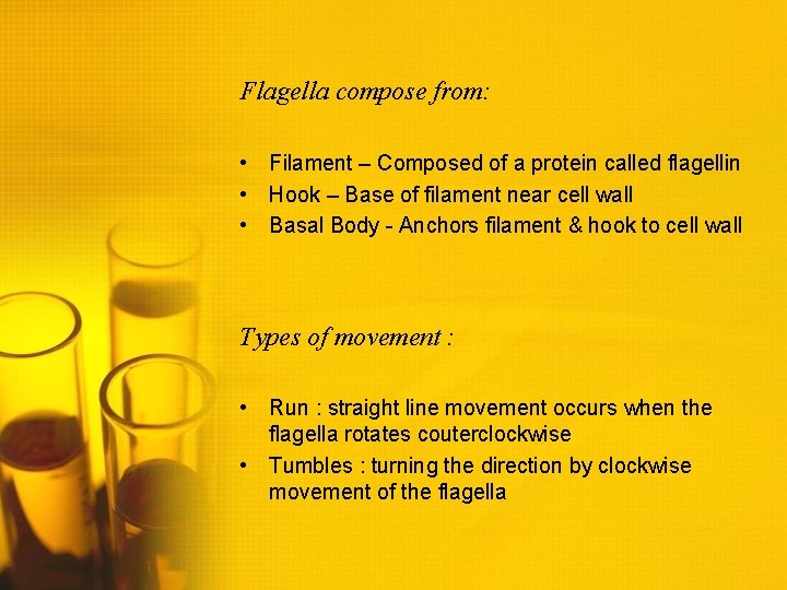 Flagella compose from: • Filament – Composed of a protein called flagellin • Hook