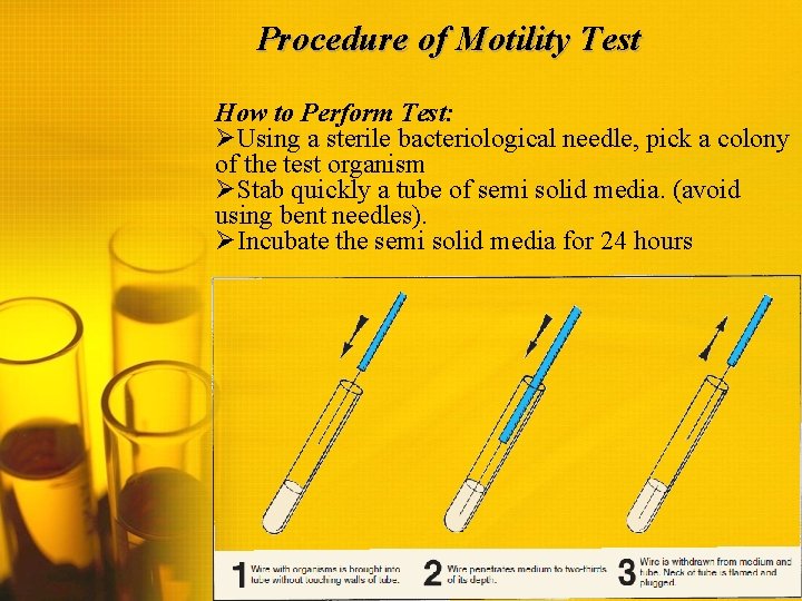 Procedure of Motility Test How to Perform Test: ØUsing a sterile bacteriological needle, pick