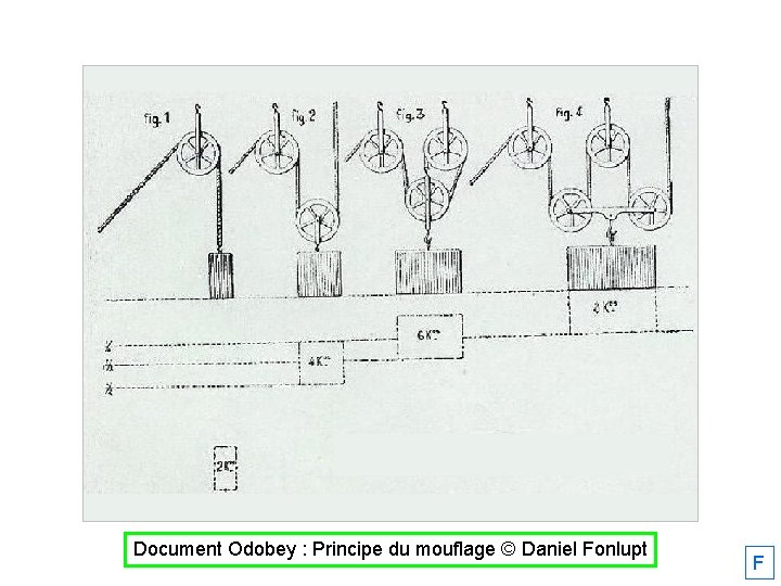 Document Odobey : Principe du mouflage © Daniel Fonlupt F 