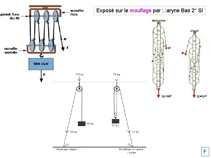 Exposé sur le mouflage par Maryne Bas 2° SI F 