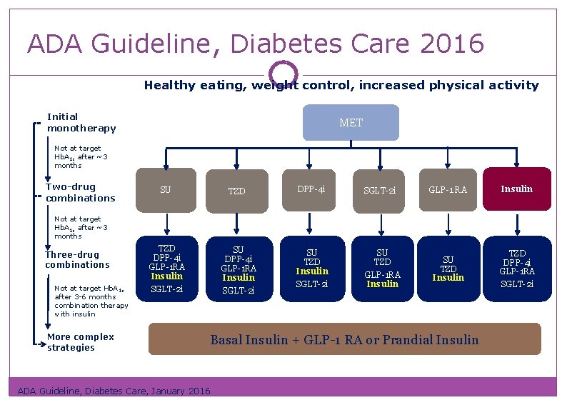 ADA Guideline, Diabetes Care 2016 Healthy eating, weight control, increased physical activity Initial monotherapy