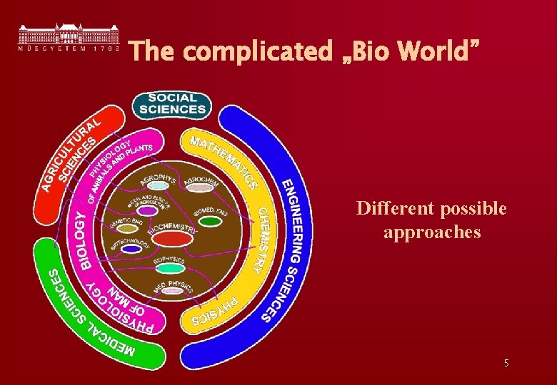 The complicated „Bio World” Different possible approaches 5 