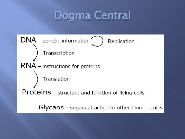 Dogma Central 