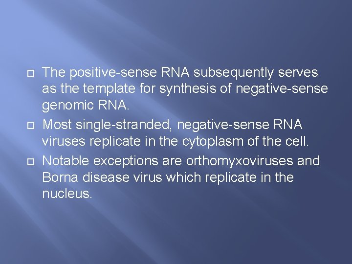  The positive-sense RNA subsequently serves as the template for synthesis of negative-sense genomic