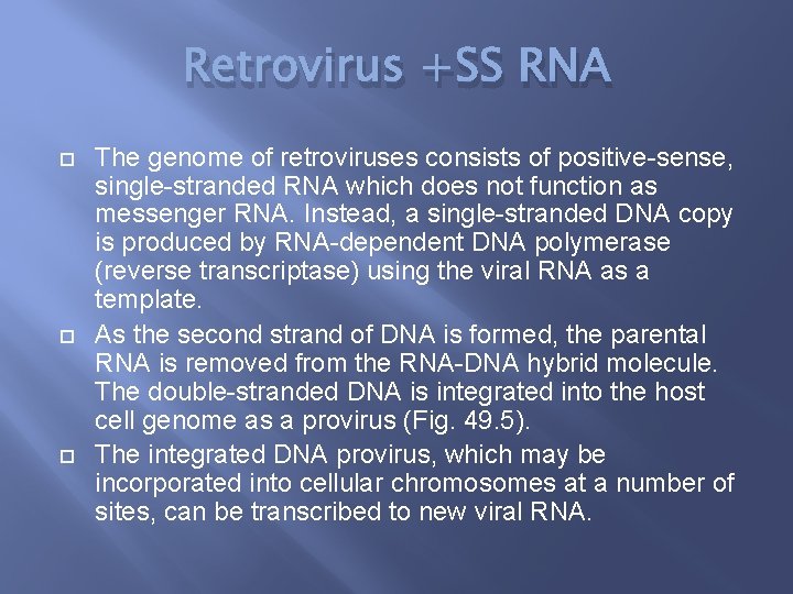 Retrovirus +SS RNA The genome of retroviruses consists of positive-sense, single-stranded RNA which does