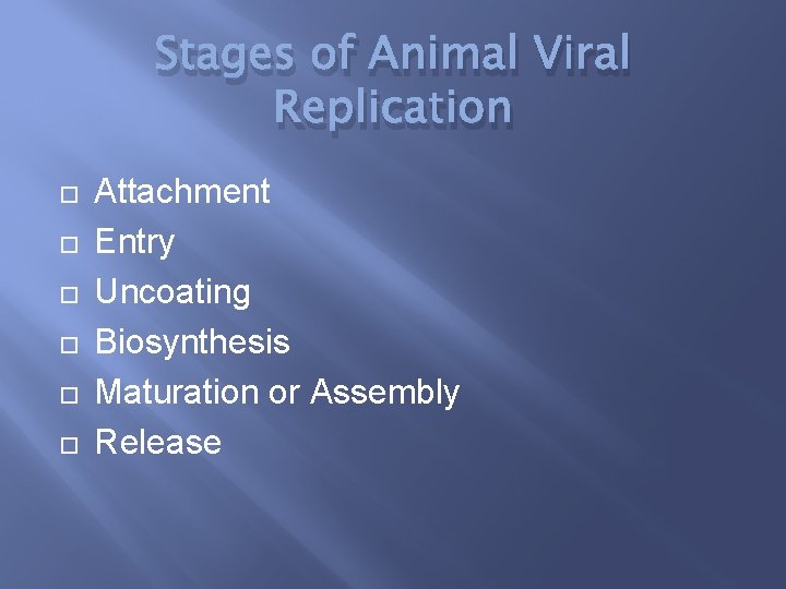 Stages of Animal Viral Replication Attachment Entry Uncoating Biosynthesis Maturation or Assembly Release 
