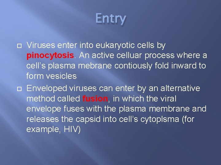 Entry Viruses enter into eukaryotic cells by pinocytosis. An active celluar process where a