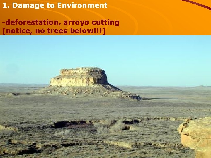 1. Damage to Environment -deforestation, arroyo cutting [notice, no trees below!!!] 