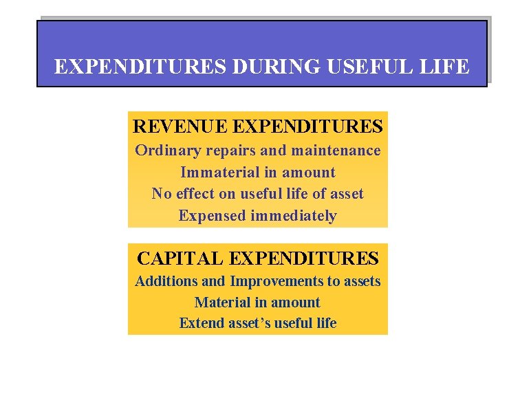 EXPENDITURES DURING USEFUL LIFE REVENUE EXPENDITURES Ordinary repairs and maintenance Immaterial in amount No