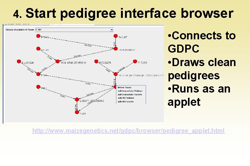 4. Start pedigree interface browser • Connects to GDPC • Draws clean pedigrees •