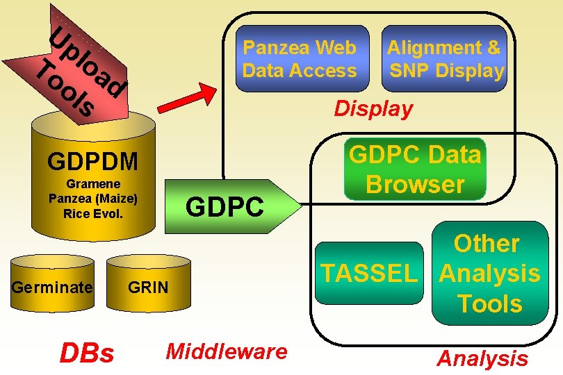 Up Panzea Web Data Access To loa ol d s Display GDPDM Gramene Panzea