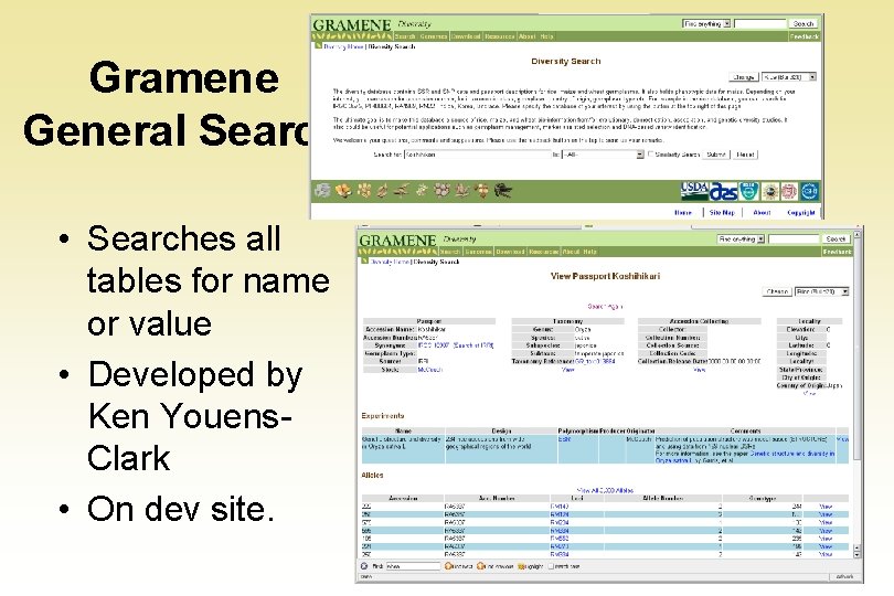 Gramene General Search • Searches all tables for name or value • Developed by