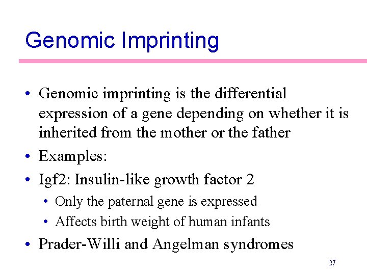 Genomic Imprinting • Genomic imprinting is the differential expression of a gene depending on