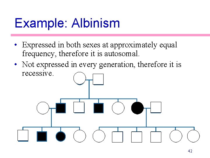 Example: Albinism • Expressed in both sexes at approximately equal frequency, therefore it is