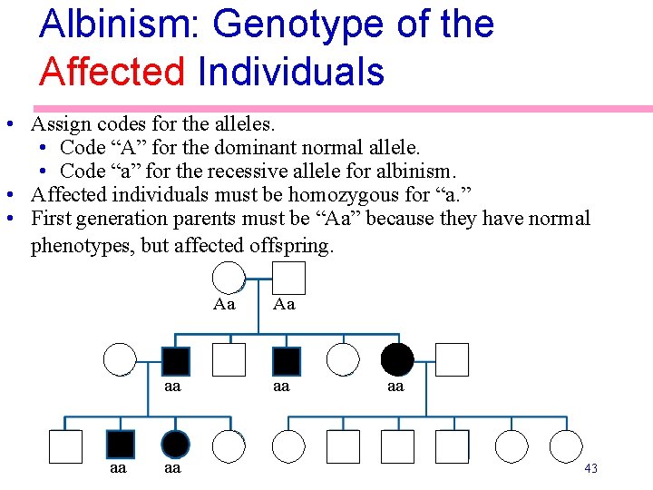 Albinism: Genotype of the Affected Individuals • Assign codes for the alleles. • Code