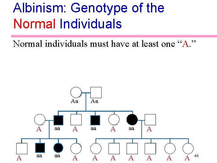 Albinism: Genotype of the Normal Individuals Normal individuals must have at least one “A.