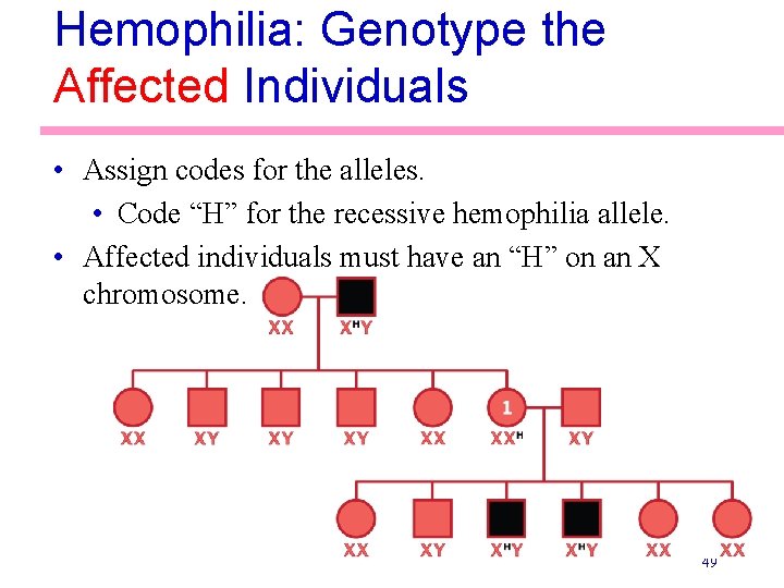 Hemophilia: Genotype the Affected Individuals • Assign codes for the alleles. • Code “H”