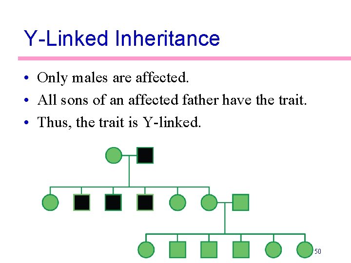 Y-Linked Inheritance • Only males are affected. • All sons of an affected father